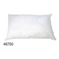 Pillow Allergy Free