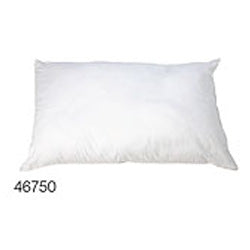 Pillow Allergy Free