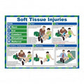 Soft Tissue Injuries Poster
